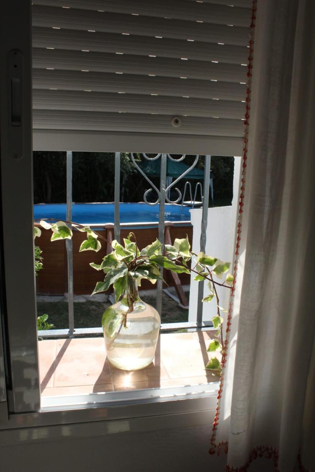 הוילה קדיז Casa La Maceta מראה חיצוני תמונה