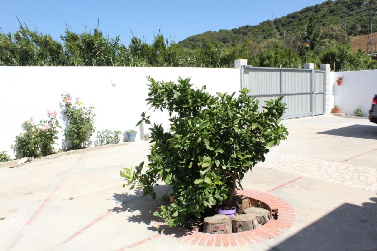 הוילה קדיז Casa La Maceta מראה חיצוני תמונה